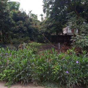 BÁN ĐẤT QUẢNG CHÂU - THÀNH PHỐ HY