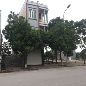 Bán 80m² đất số 115 đường Lê Thanh Nghị, P.Hiến Nam, TP.Hưng Yên