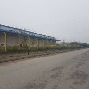 CẦN BÁN GẤP 2 LÔ ĐẤT LIỀN KỀ TẠI XÃ PHẠM NGŨ LÃO, KIM ĐỘNG