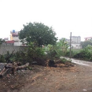 Bán 112m² đất 2 mặt tiền khu phố An Bình, P.An Tảo, TP.Hưng Yên