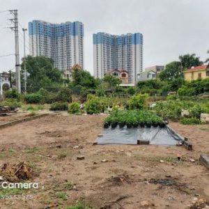 BÁN ĐẤT ĐẤU GIÁ PHỤNG CÔNG - VĂN GIANG