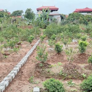 Bán đất thổ cư diện tích 83.8m2 tại Đông Tảo, Khoái Châu, Hưng Yên Giá 2,x tỷ