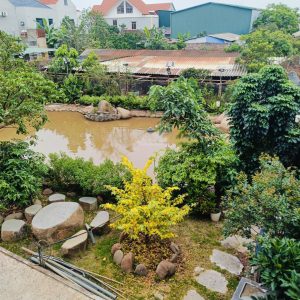 Bán 2.126 m² đất tại Lại Trạch, Yên Phú, Hưng Yên, mặt ngõ 5m, ô tô tránh, lô góc, kinh doanh, đầu tư phân lô đỉnh