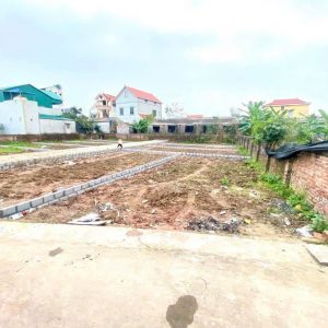 Chỉ với 2tỷ sở hữu ngay siêu phẩm ô tô vào đất tại Đan Kim- Liên Nghĩa 58.5m2 giáp đại lộ Đông Tây