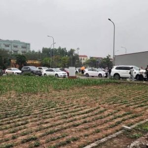 Bán đất 135m2, 5 tỷ tại Quốc Lộ 39, Hiệp Cường, Kim Động, Hưng Yên hàng hot