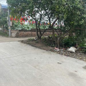 Bán lô góc 118m cực đẹp tại Đông Tảo, Khoái Châu