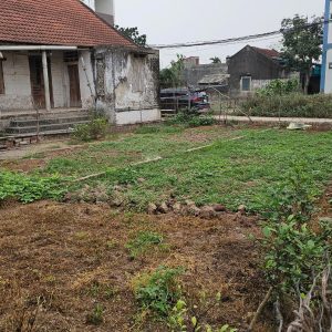Chính chủ bán gấp 110m2 ngay đường Quy hoạch 30m ở Liên Nghĩa, Văn Giang