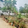 Tài chính 2tỷ1 sở hữu ngay mảnh đất tại Vĩnh Tuy- Liên Nghĩa- Văn Giang giáp đt 379 và cụm công ty