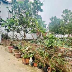 Tài chính 2tỷ1 sở hữu ngay mảnh đất tại Vĩnh Tuy- Liên Nghĩa- Văn Giang giáp đt 379 và cụm công ty