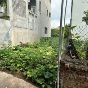 Bán đất Đan Kim, 2,8 tỷ, 76m2, mặt tiền 4,8m, ngõ 2m, pháp lý đầy đủ, ô tô đỗ cách 10m
