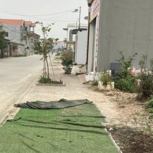Bán đất 125 m2 tại Trịnh Xá, Chỉ Đạo, Văn Lâm, Hưng Yên, 37,5 triệu/m2