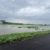 Đất giãn dân thấp nhất TX Mỹ Hào, chỉ nhỉnh 2 tỷ