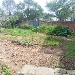 Bán 159.5m² đất Nghĩa Trụ – Văn Giang, đường thông, gần Vin 2-3, 2 mặt tiền