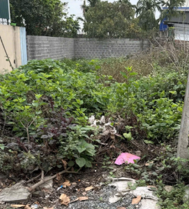 21tr/m2 (bao sổ) chính chủ - đường 4m ô tô vào tận đất. Quanh khu đông dân, văn hoá, tiện ích