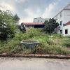 Bán 75m2 đất Tân Quang, Văn Lâm, Hưng Yên, ô tô tránh, 10m ra trục chính thôn