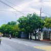 Bán đất ở 300m², 2 mặt tiền, sổ đỏ 100%, sát QL39B – TP. Hưng Yên, giá chỉ 31 tỷ