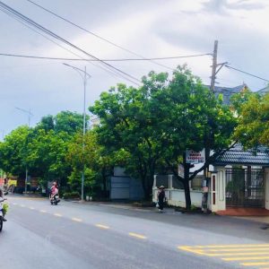 Bán đất ở 300m², 2 mặt tiền, sổ đỏ 100%, sát QL39B – TP. Hưng Yên, giá chỉ 31 tỷ